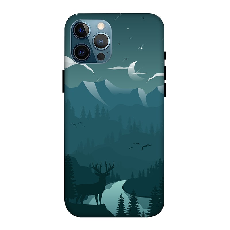 Night Landscape iPhone 12 Pro Max Mobile Cover