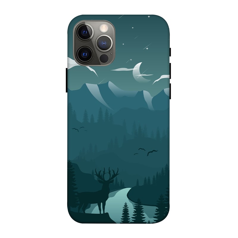 Night Landscape iPhone 12 Pro Mobile Cover