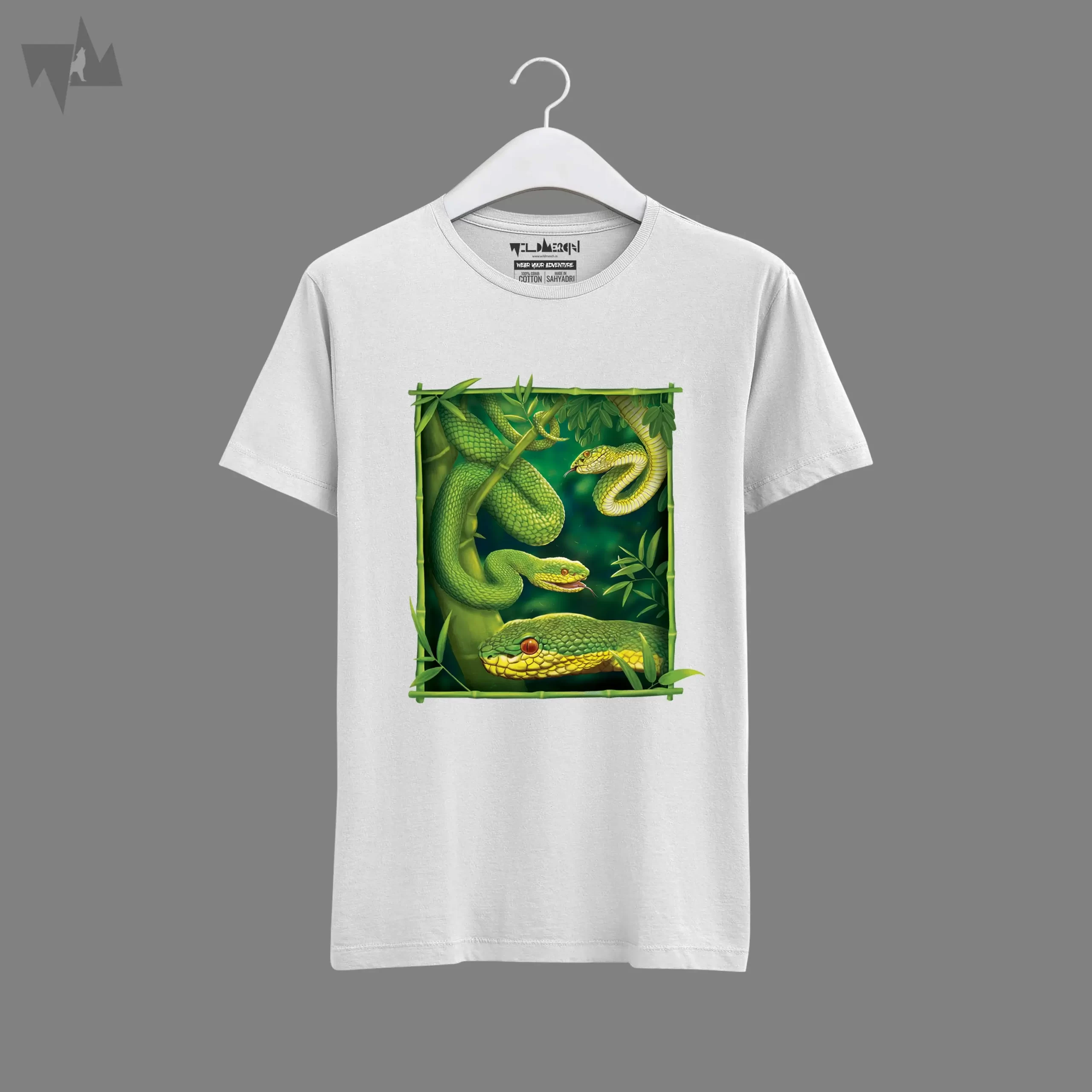 Bamboo Pit Viper